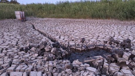 BannerQS pornstar perfect pic