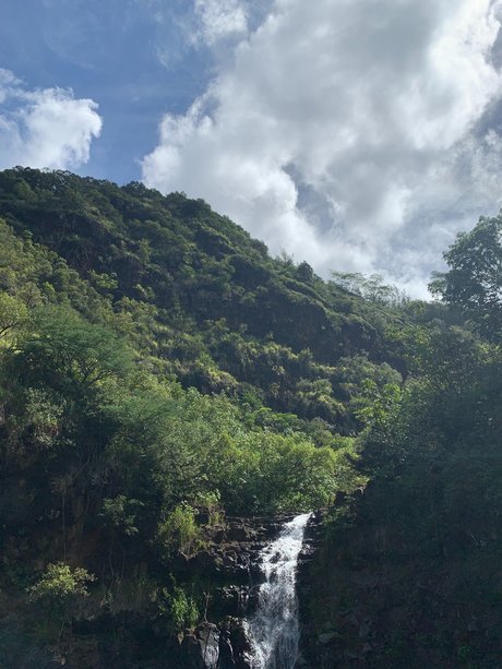 Beau Rose naked pornstar photo