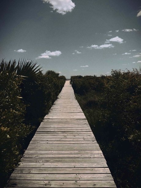 NC Med Student model hd pic