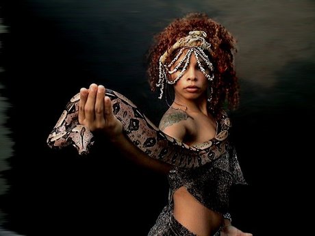 Maya Kay z model top images