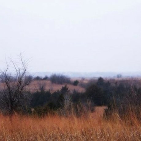 Dirty Gertie best star image