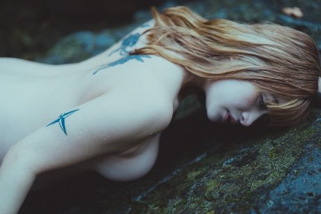 Meow chan star art pictures