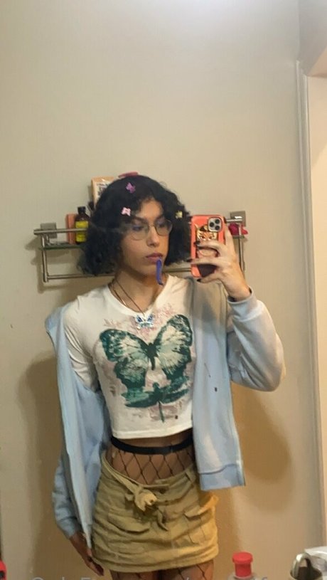 Monetforma perfect star galleries