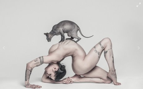 Stefanie Millinger star pornographic gallery