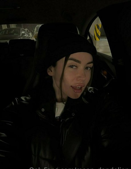 moan dandelion model top photo