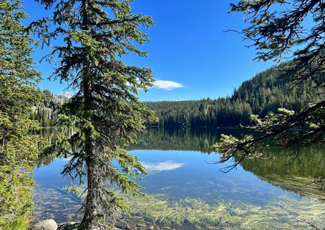 small cock onlyfans hot porn images