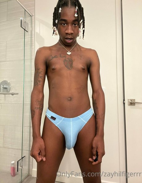 zayhilfigerrr free star img