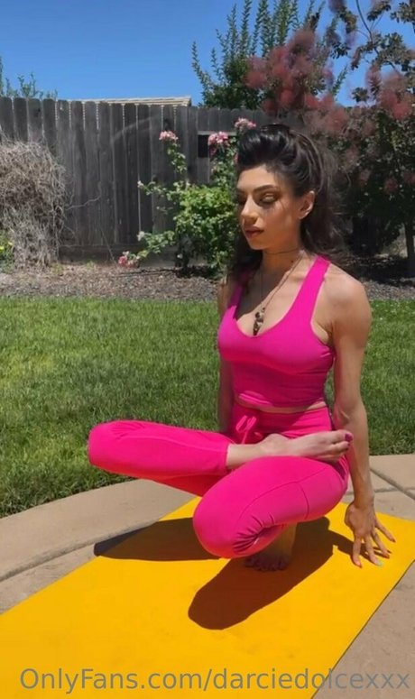 darciedolcexxx pornstar free pictures