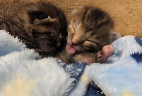 pov threesome onlyfans beautiful nude pic