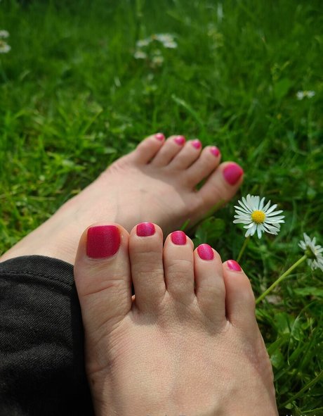 msdidi k high quality star gallery