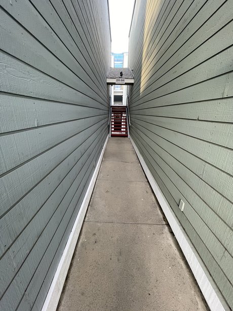 asian shemale onlyfans sexy xxx photo