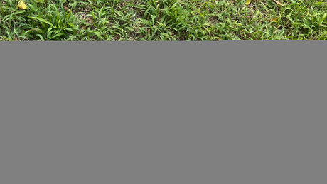 Mina Fimmel hot model gallery