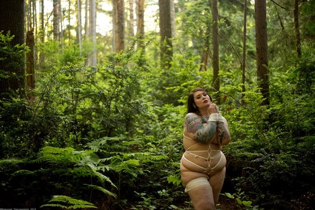 Missdebbiedarling nude star images