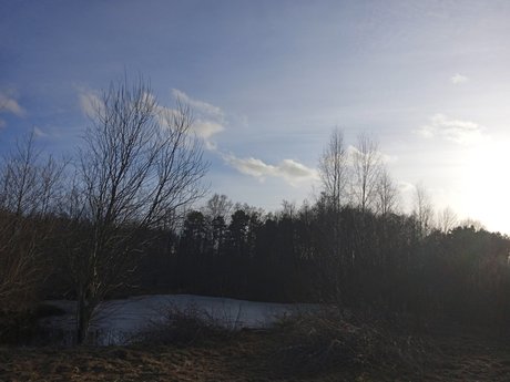 Milisixx pretty actress galleries