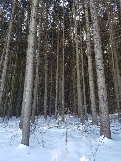 Jason Slate xxx pornstar galleries