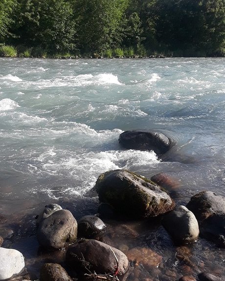 BBW WIFEY top actress img