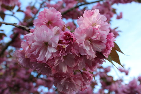 sloppy blowjob onlyfans hot nude images