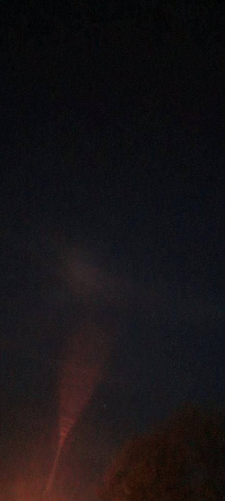 Mister Alex exclusive model img