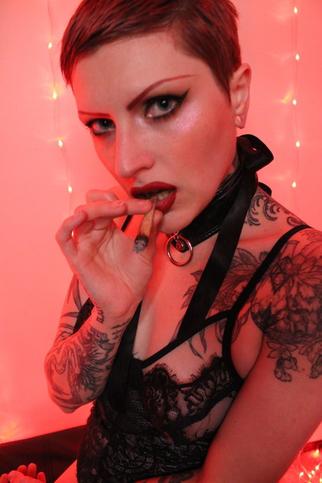 Mixtrexx Devereaux pornstar pretty image