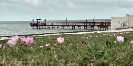 Mistwolfs adult star pic