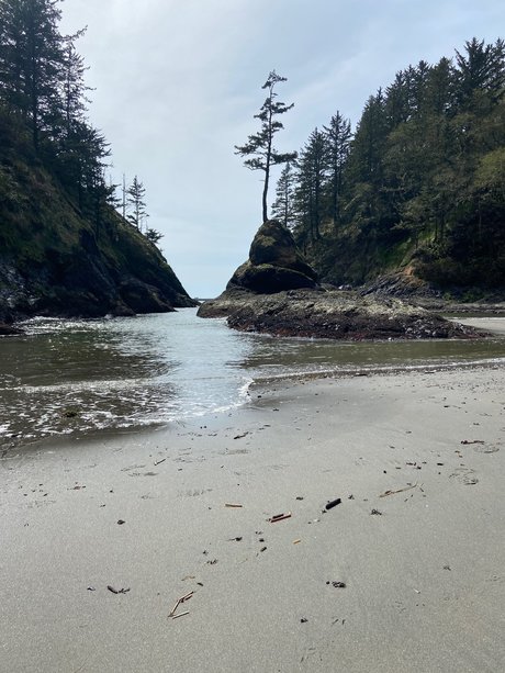 Mr SBSC star porn photo