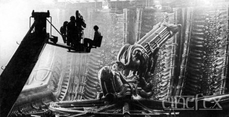 Trevor N model erotic pic