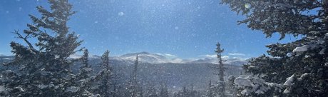 Alisha Dallas pornographic actress gallery