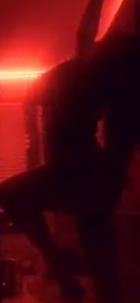 Gigi Johnson star pornographic gallery