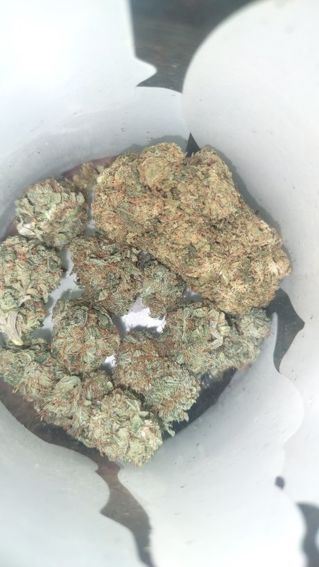 asian brunette onlyfans adult picture