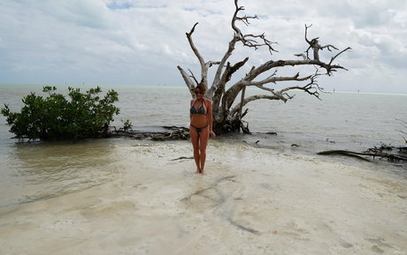 dreampixsxm nudes actress pics