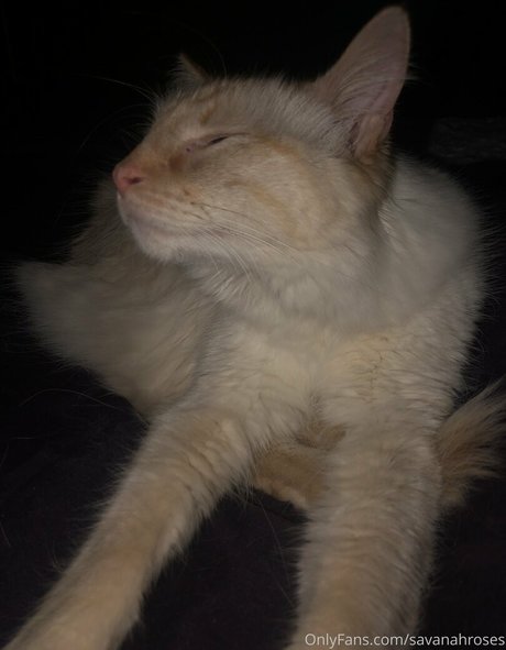 nasty free onlyfans xxx gallery