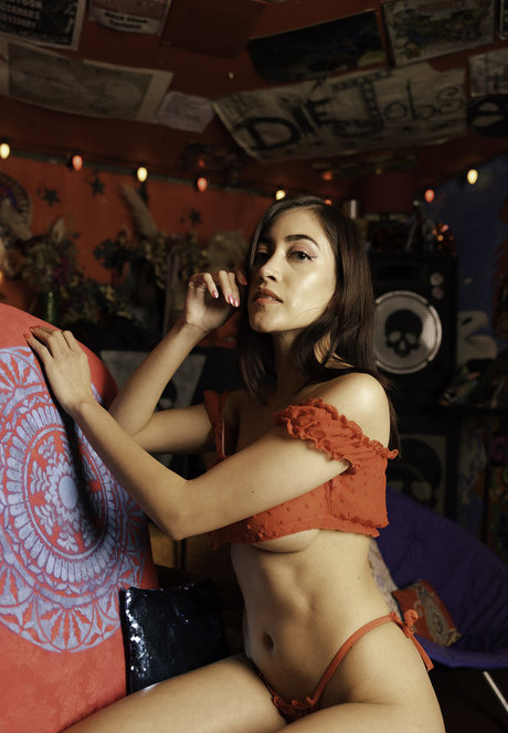 SDFoto pornstar free galleries