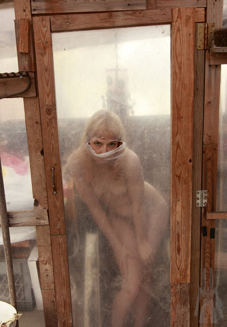 SDFoto porn star picture