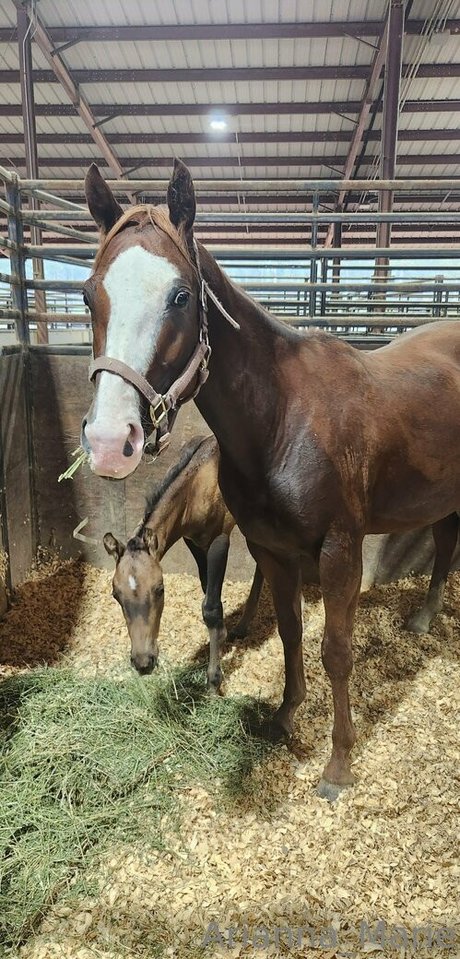 lips onlyfans art xxx archive