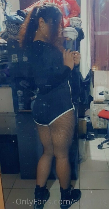 sugar ts perfect pornstar galleries