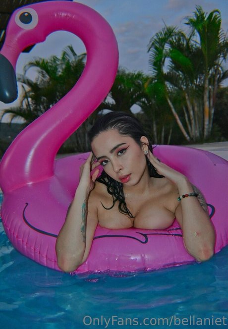 bellaniet art pornstar pictures