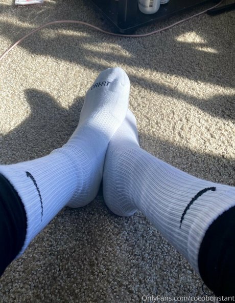 beach blowjob onlyfans free xxx pics