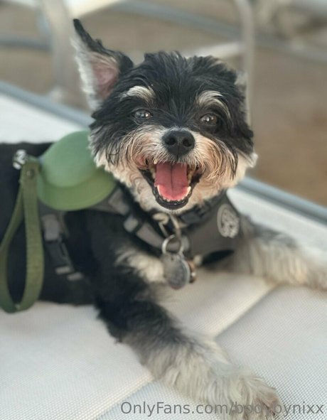 nurse anal onlyfans naked pictures