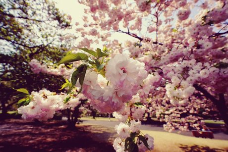 Muscle tanman exclusive model images