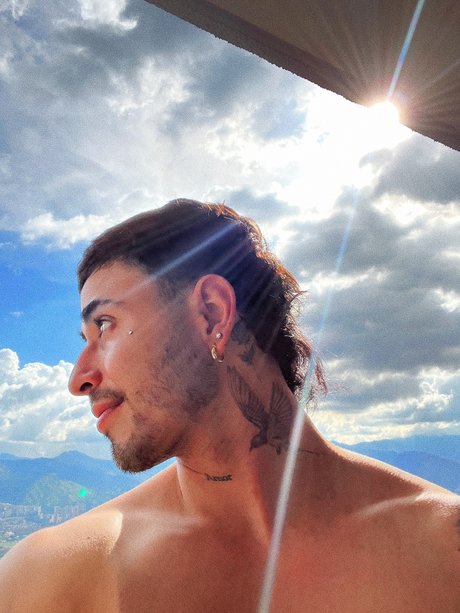 Elsebasg best model images