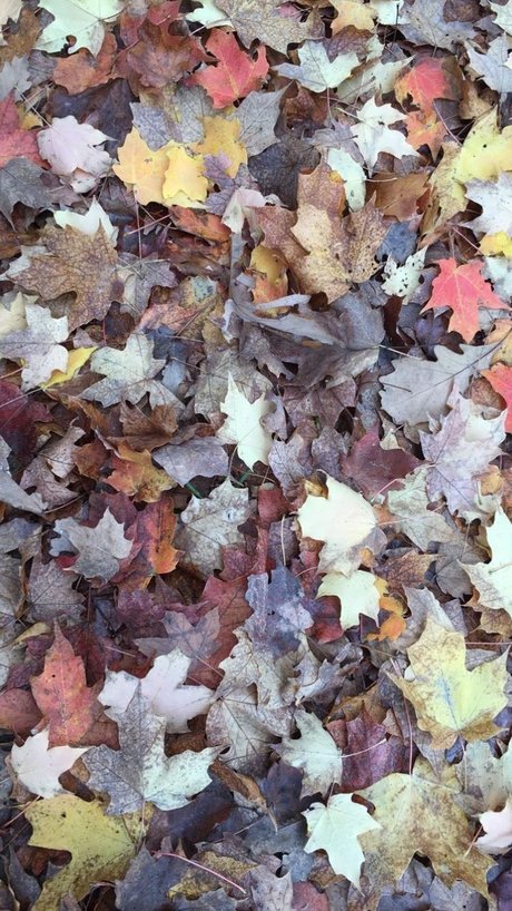 big tits young onlyfans hot naked photo