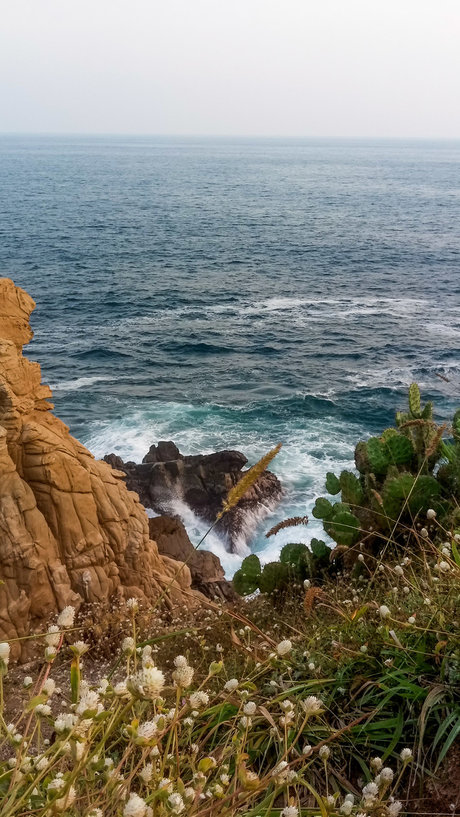 Fate top model gallery