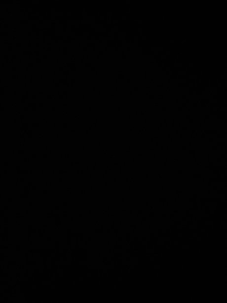 Nasty dutch star pretty galleries