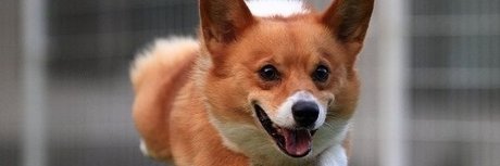 trimmed onlyfans beautiful xxx image