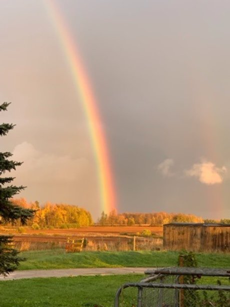 Chloena Starchild beautiful model pic