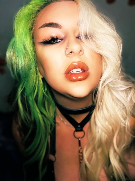 Irish Fox model hd image