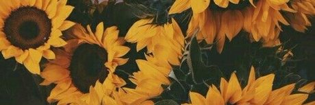 dear sydney xxx pornstar image