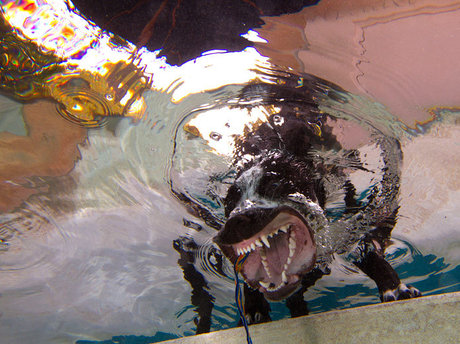 cuminside model hot archive