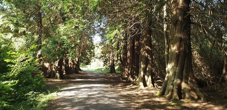 Dick Daily model pornographic photos