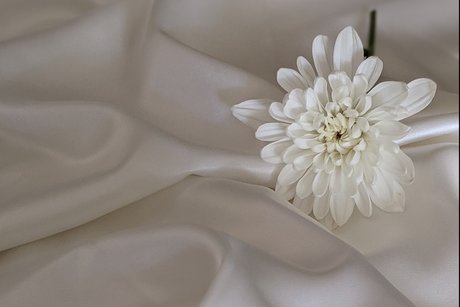 Aisha Love model perfect pictures